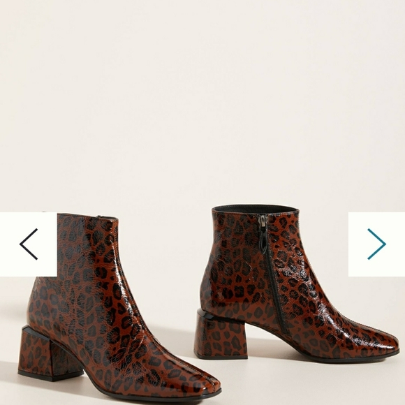 Meet your Posher, Mama - Picture 3 of 3